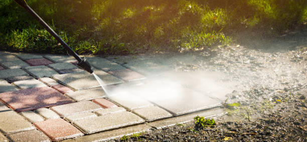 Animal Enclosure Cleaning in South Ogden, UT